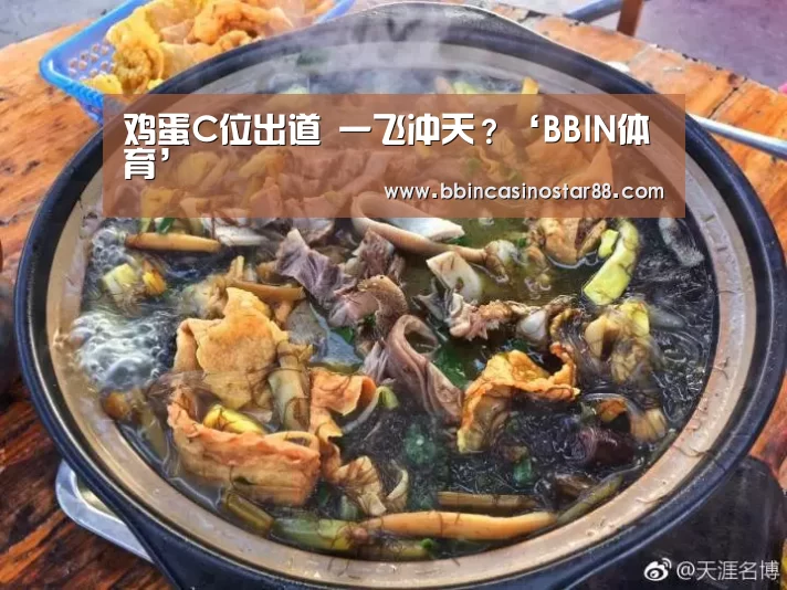 BBIN下载