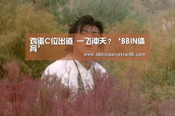 BBIN视讯