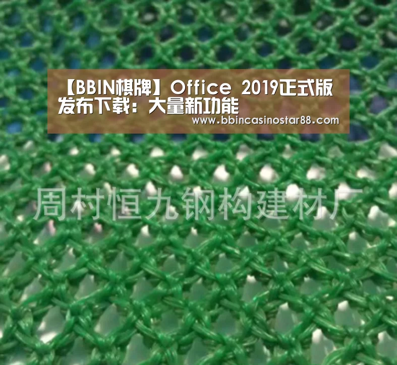 【BBIN棋牌】Office 2019正式版发布下载:大量新功能(图3) BBIN下载